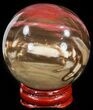 Colorful Petrified Wood Sphere #49748-1